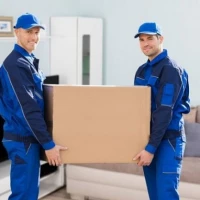 Cheap Same Day Courier 6